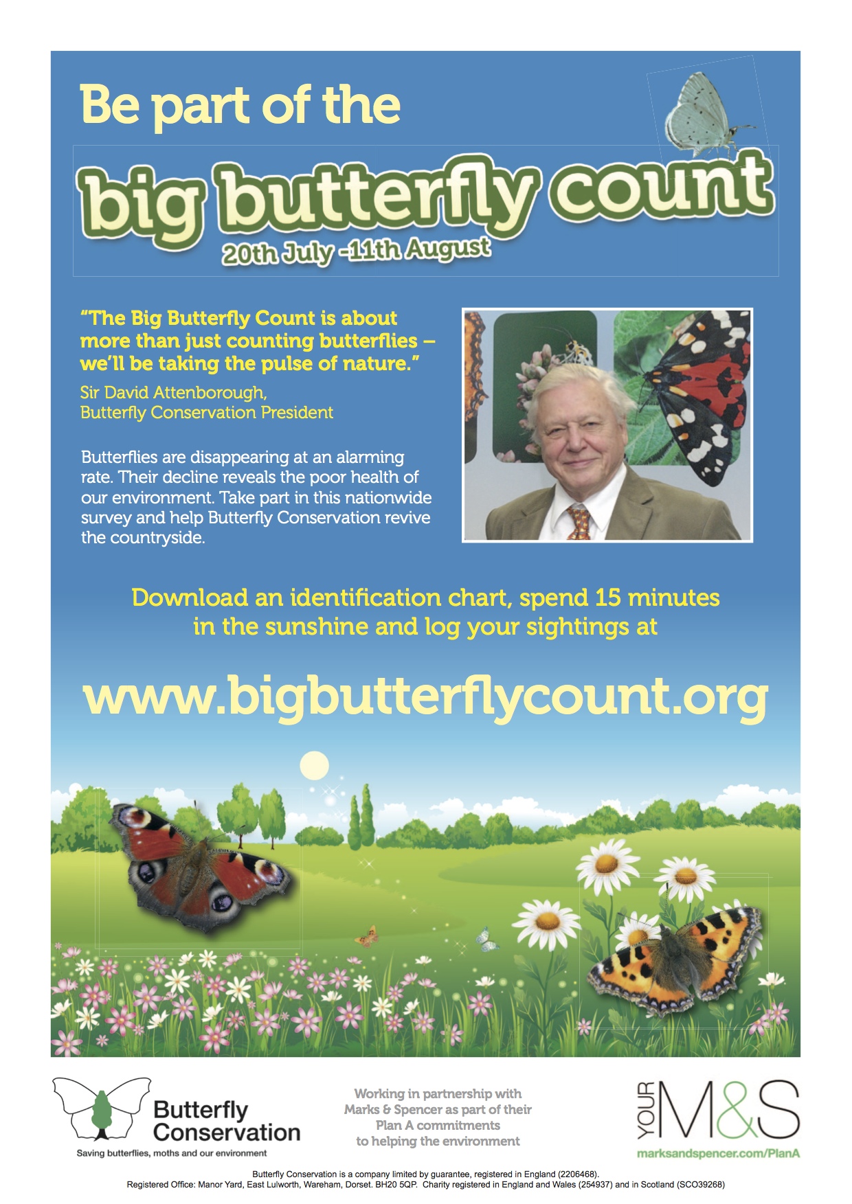 Butterfly Count 2013