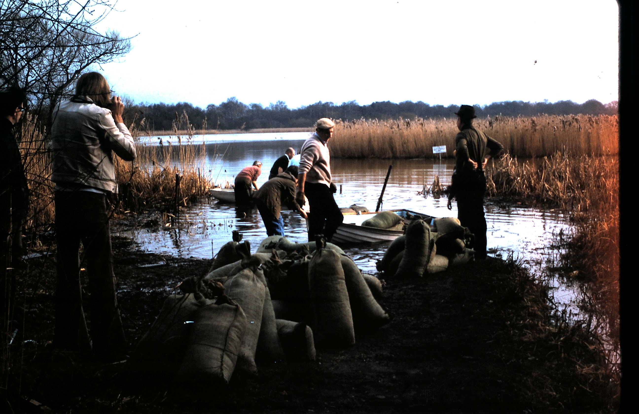 Building the Chestnut Grove Jetty 40th Celebrations Fleet Pond Society