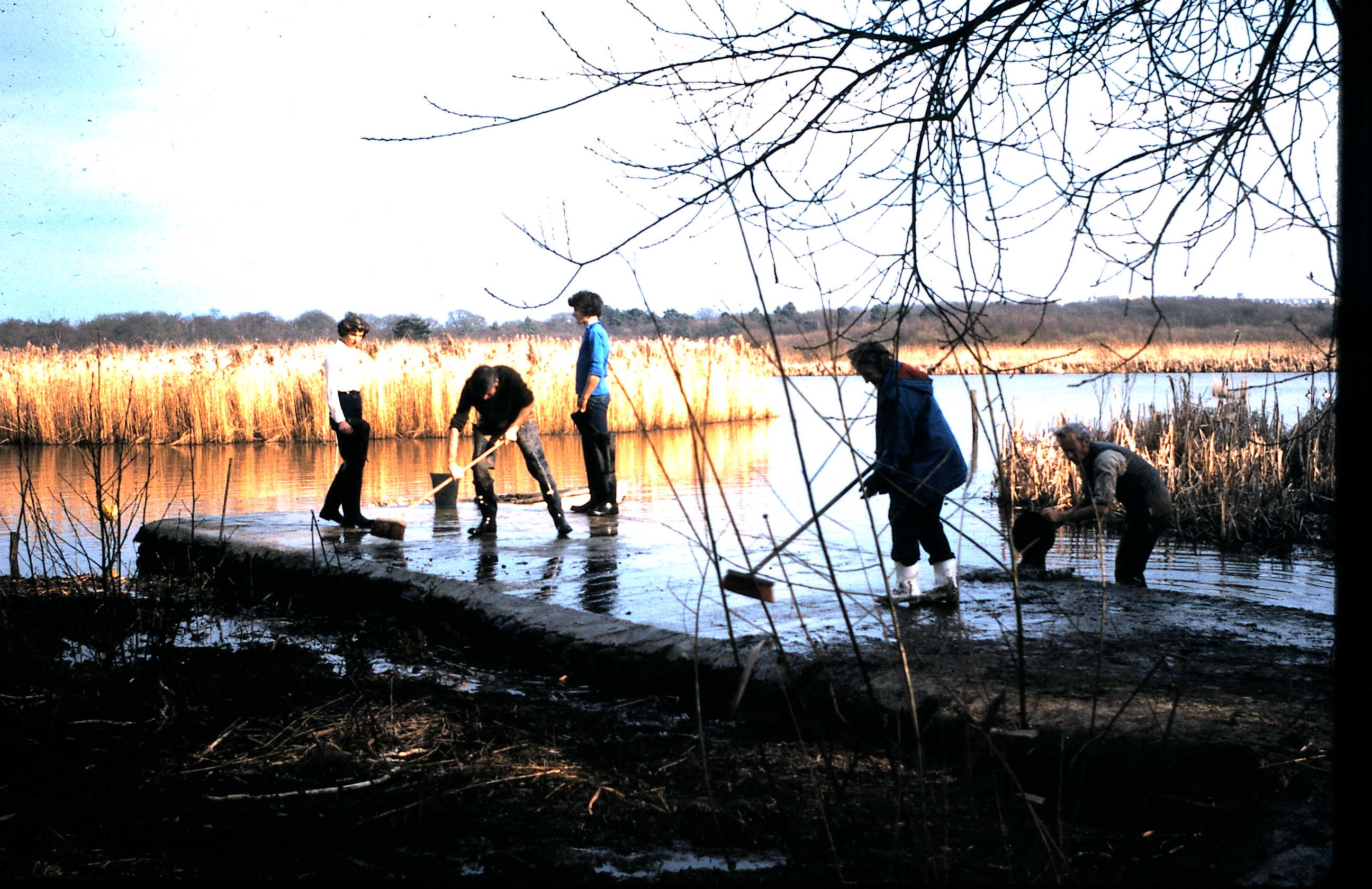 Building the Chestnut Grove Jetty 40th Celebrations Fleet Pond Society