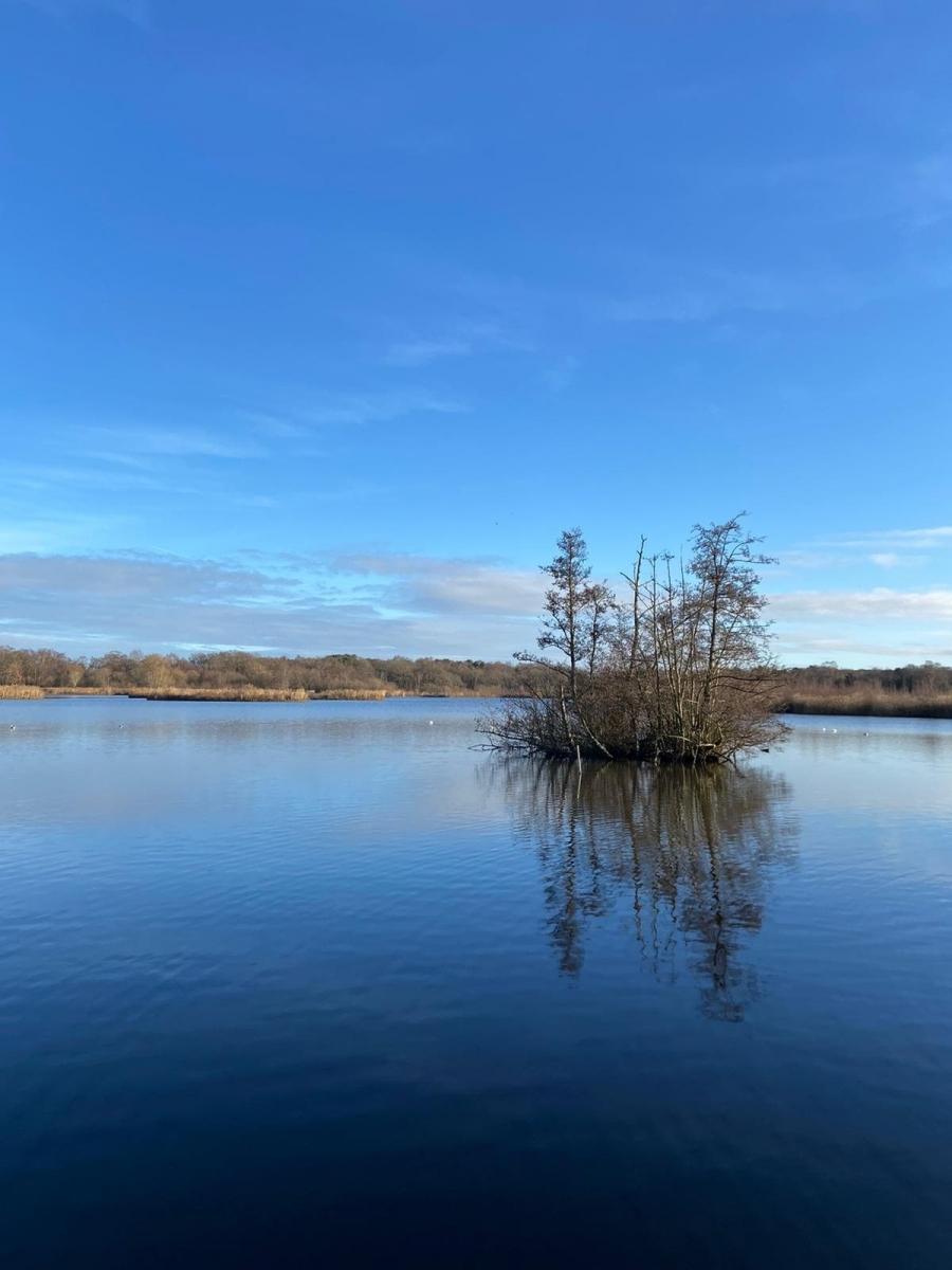 members-gallery-fleet-pond-society