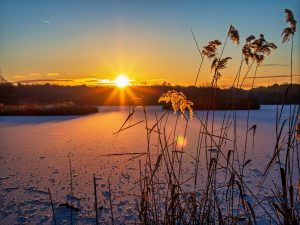 Taken by David Latham in January 26.