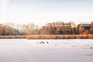 Taken by David Latham in January 26.