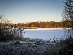 Taken by David Latham in January 26, showing the icy conditions at the Pond.