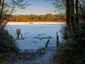 Taken by David Latham in January 26.