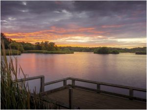 Taken by David Latham on 6th October. 