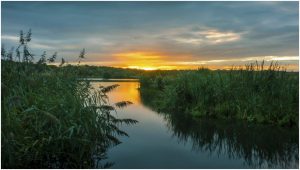 Taken by David Latham on 6th October.