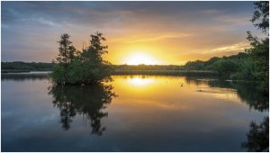 Taken by David Latham on 6th October.