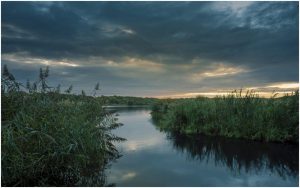 Taken by David Latham on 6th October.