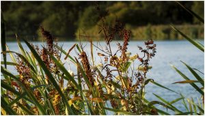 Taken by David Latham on 6th October.